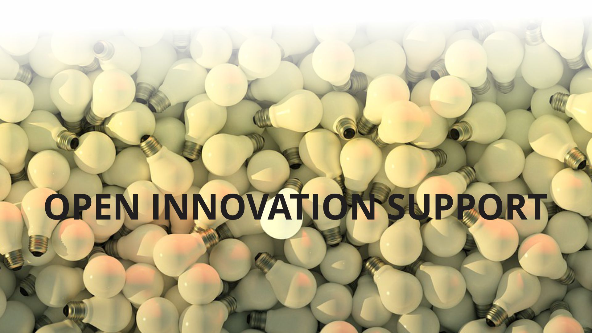 Open Innovation Support